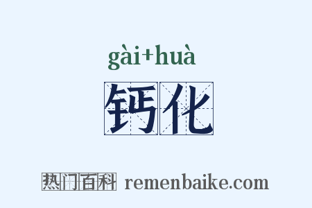 钙化是什么意思的图片